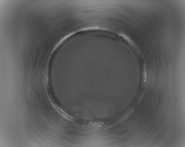 X0000081570484200701221057