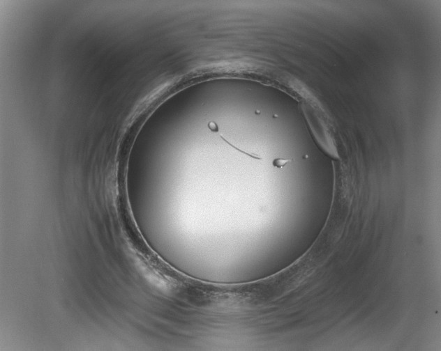 X0000081570486200701221057