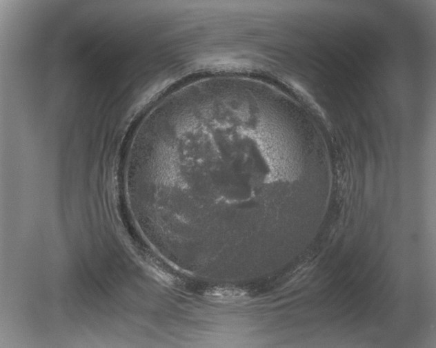 X0000081570487200701221057