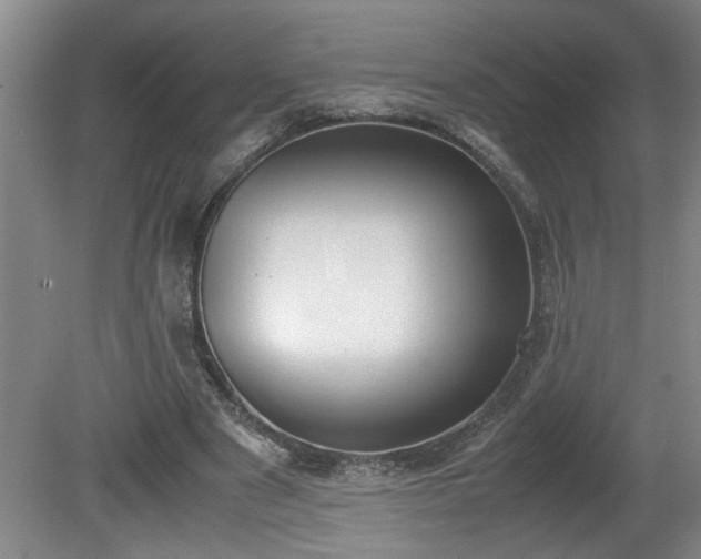 X0000081570489200701221056