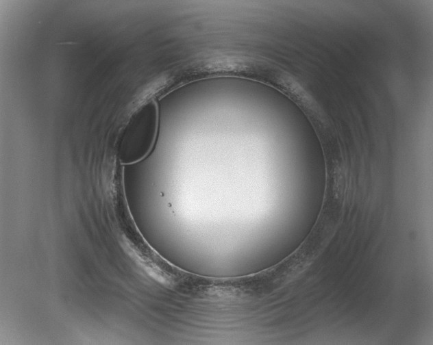 X0000081570490200701221056