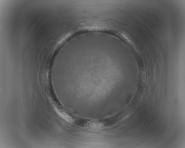 X0000081570491200701221056