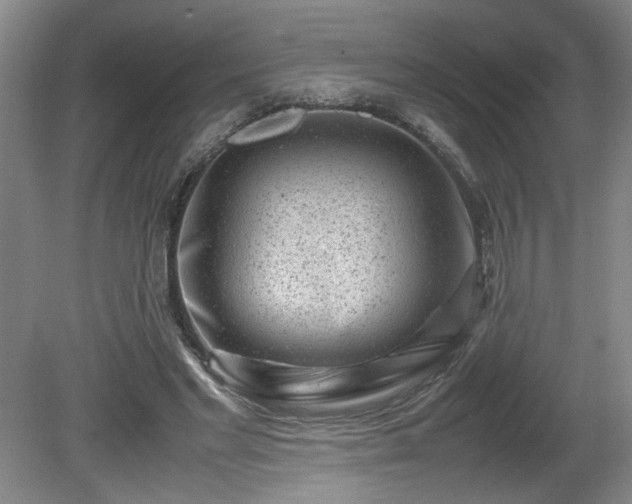 X0000081570493200701221056