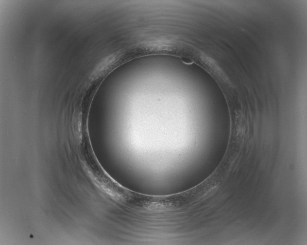 X0000081570494200701221056