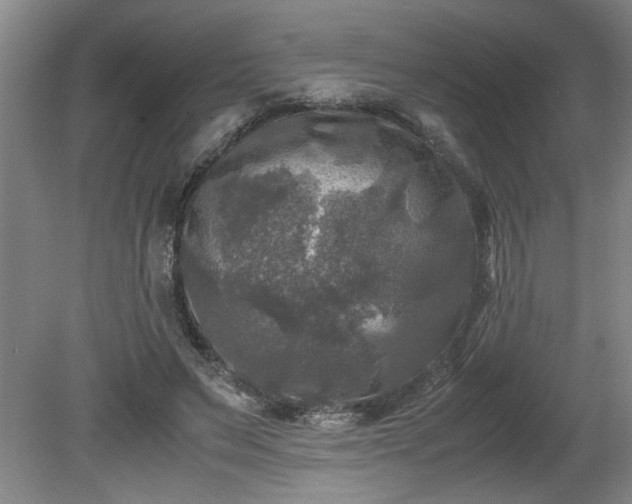 X0000081570495200701221056