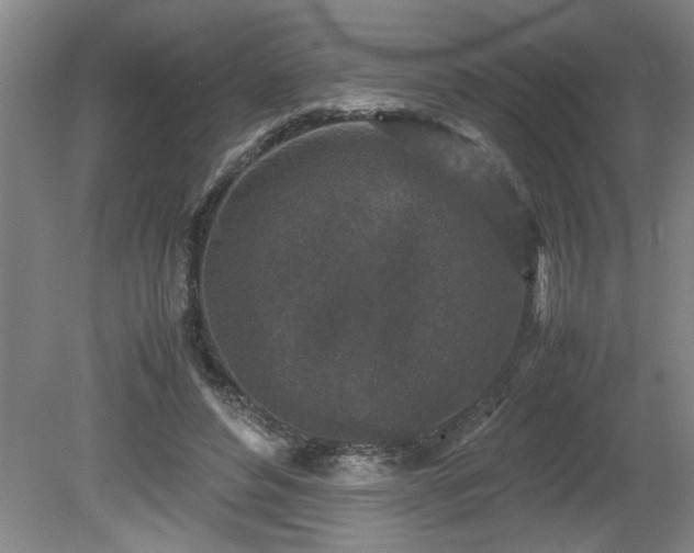 X0000081570496200701221056