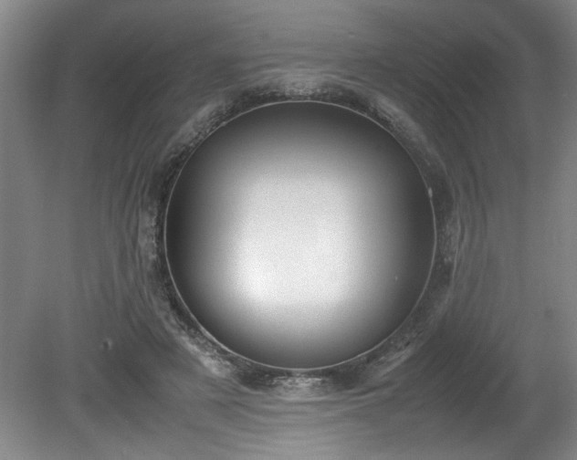 X0000081570497200701221056