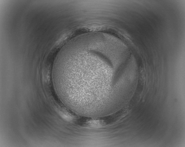 X0000081570499200701221056