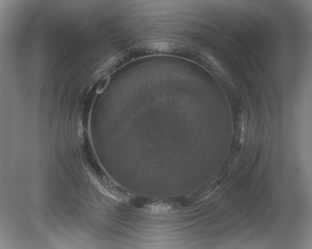 X0000081570500200701221056