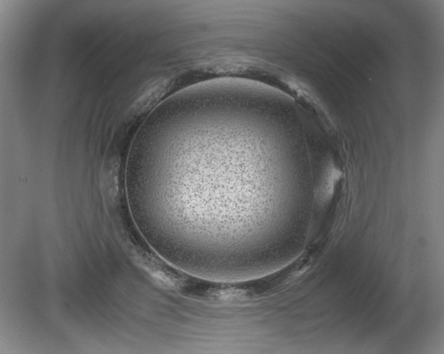 X0000081570501200701221056