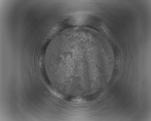 X0000081570503200701221056