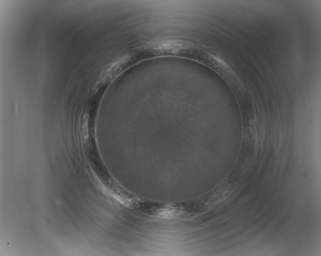 X0000081570504200701221056