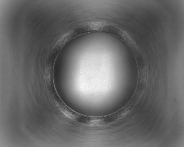 X0000081570505200701221056