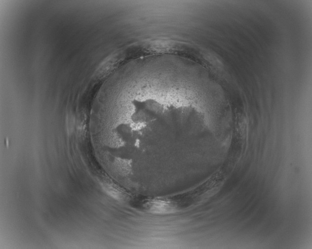 X0000081570507200701221056