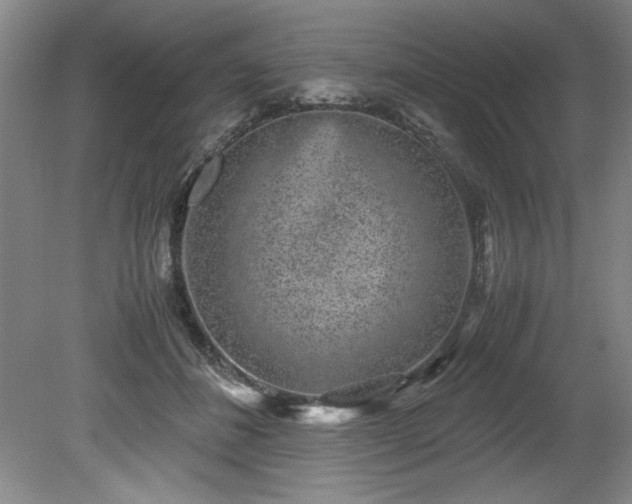 X0000081570508200701221056