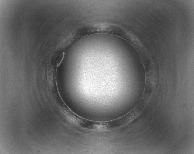 X0000081570509200701221056