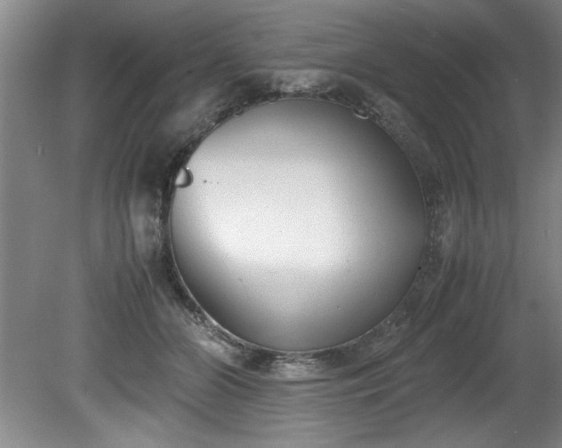 X0000081570510200701221056