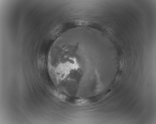 X0000081570511200701221056