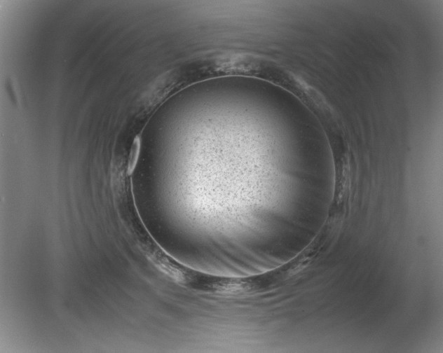 X0000081570513200701221056