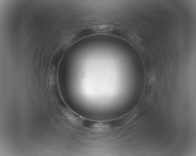 X0000081570515200701221056