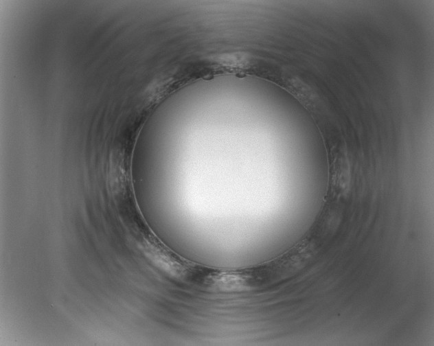 X0000081570518200701221056