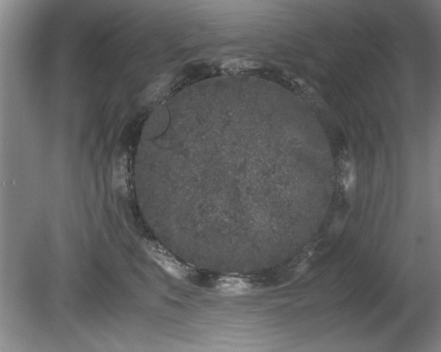 X0000081570519200701221056