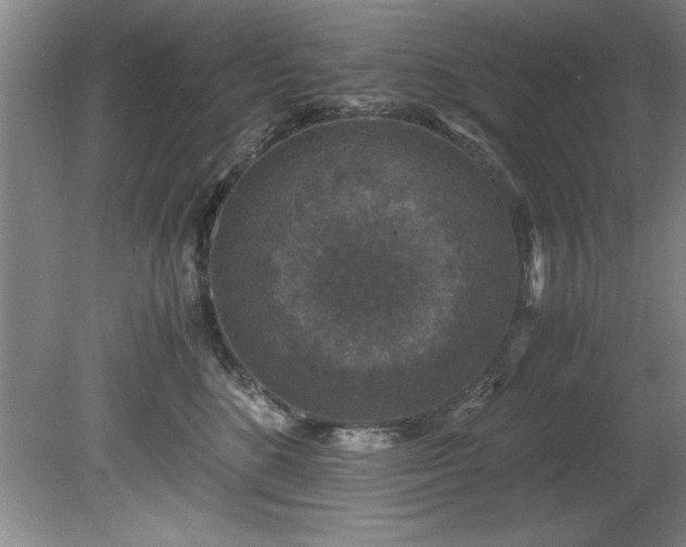 X0000081570520200701221056