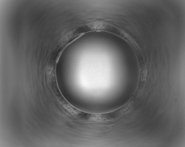 X0000081570521200701221056