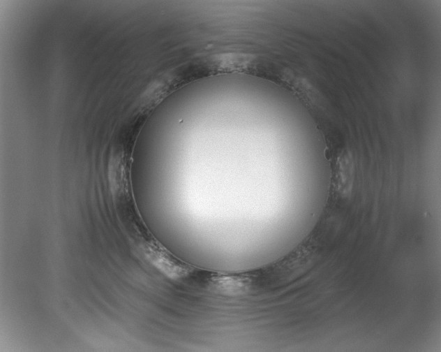 X0000081570522200701221056