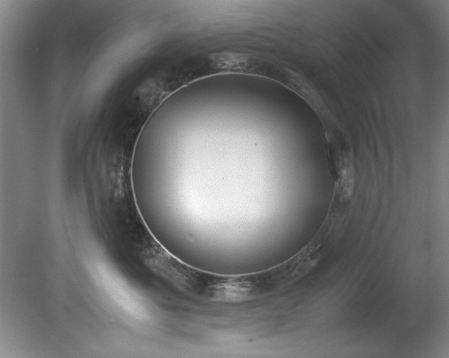 X0000081570525200701221056