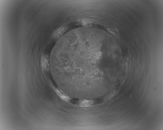 X0000081570527200701221056