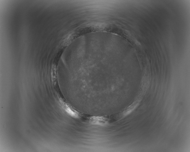 X0000081570528200701221056