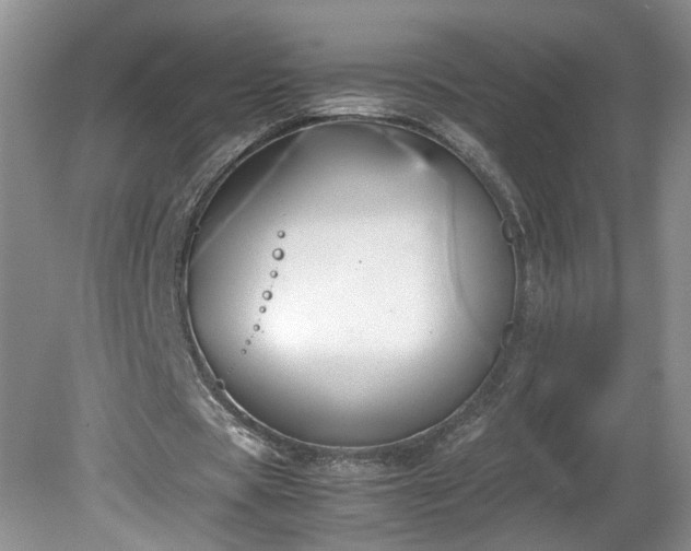 X0000081570529200701221055