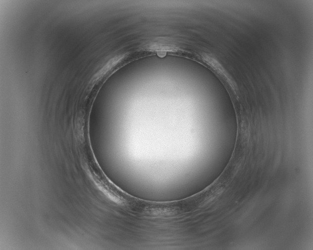 X0000081570533200701221055