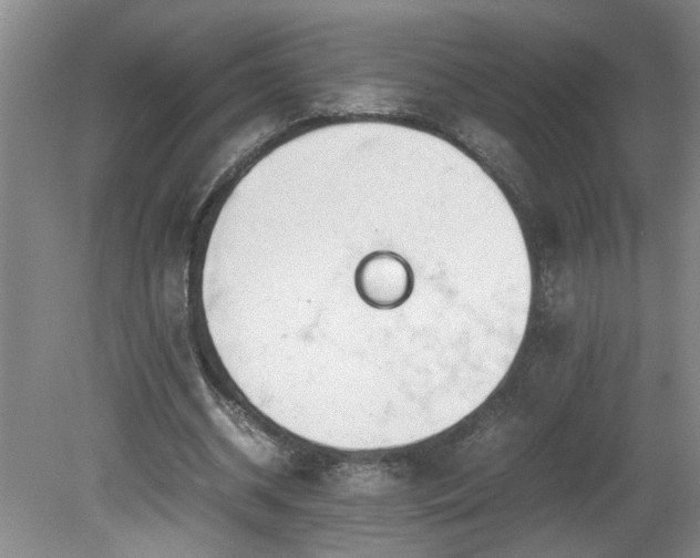 X0000081570534200701221055