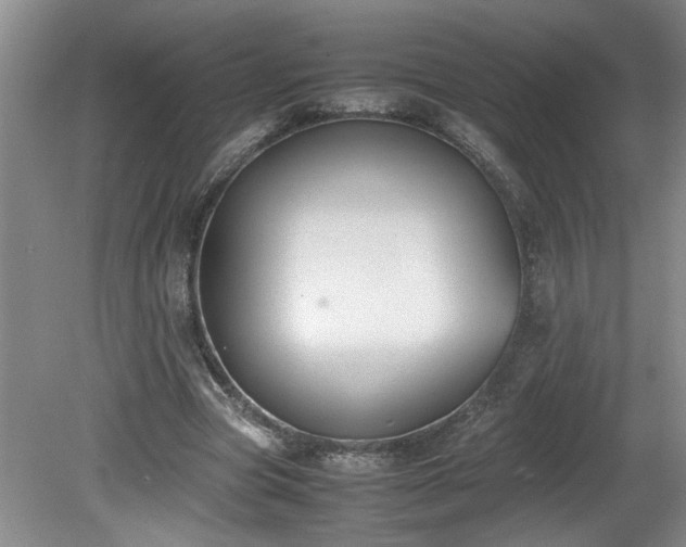 X0000081570537200701221055