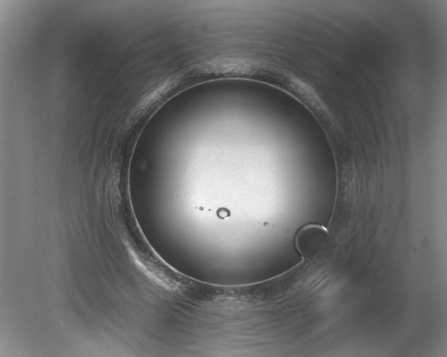 X0000081570538200701221055