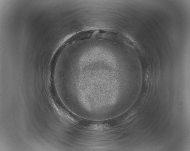 X0000081570540200701221055