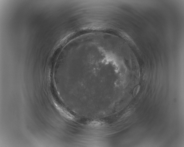 X0000081570542200701221055