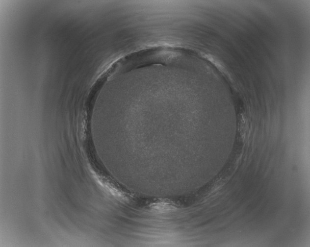 X0000081570544200701221055