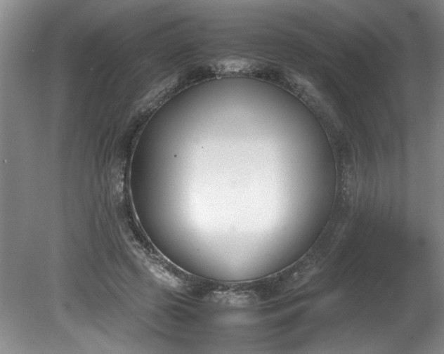 X0000081570545200701221055