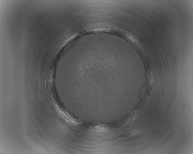 X0000081570546200701221055