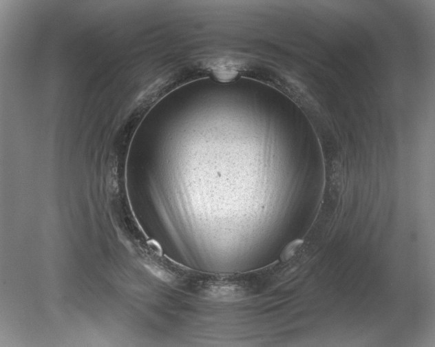 X0000081570547200701221055