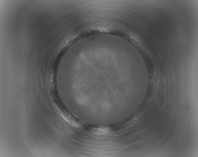 X0000081570548200701221055