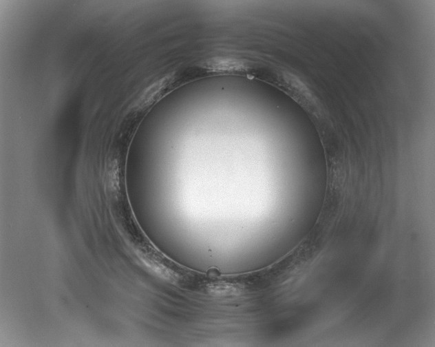 X0000081570549200701221055