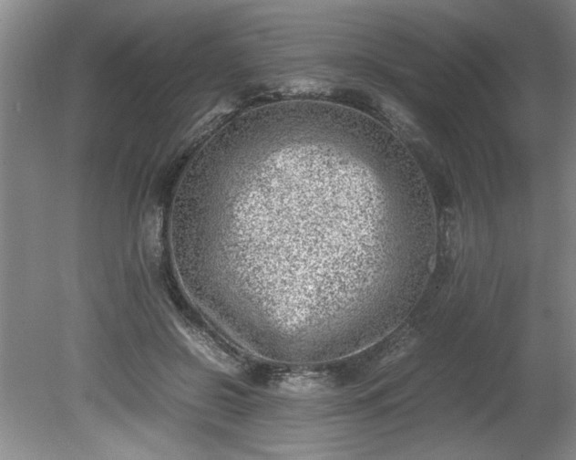 X0000081570550200701221055