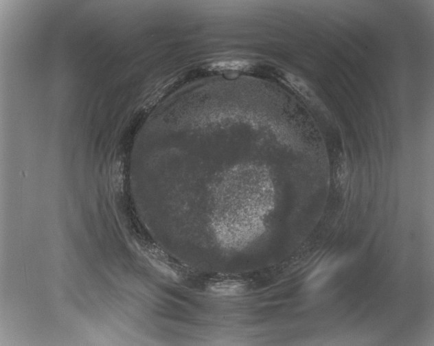 X0000081570551200701221055