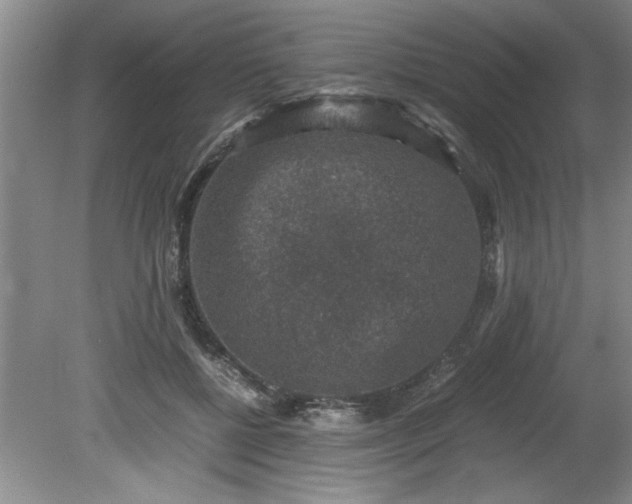 X0000081570552200701221055