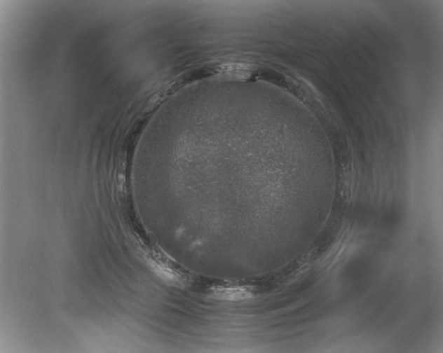 X0000081570553200701221055