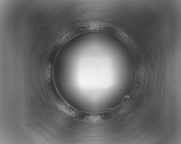 X0000081570554200701221055